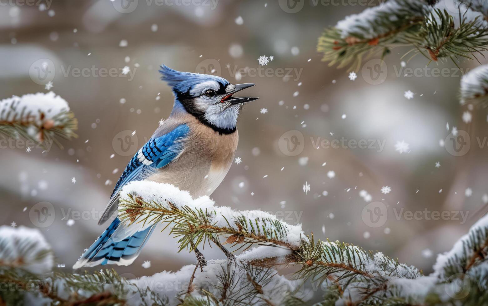 ai généré le bleu geai du froid saison symphonie photo