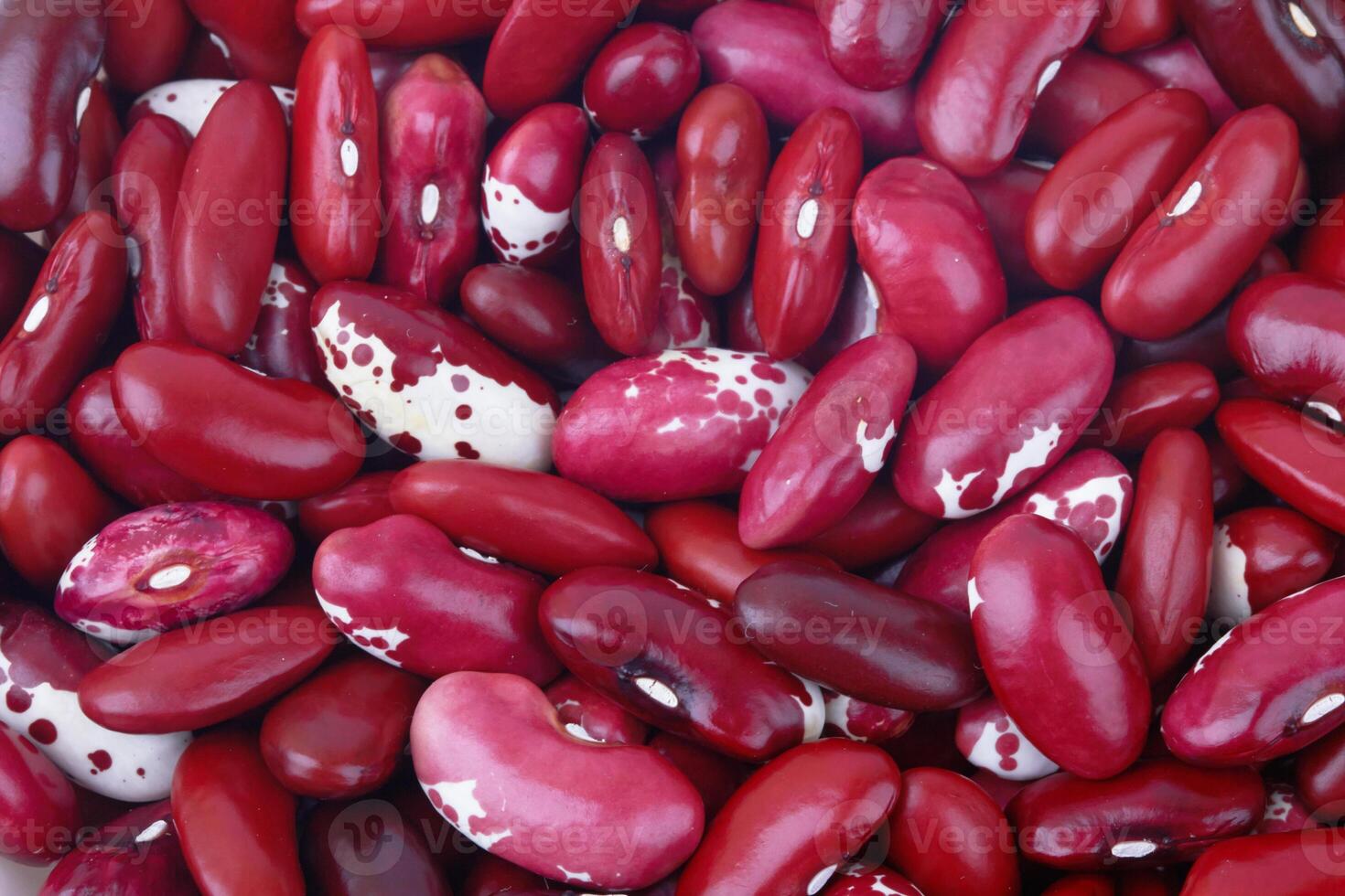 rouge des haricots Contexte photo