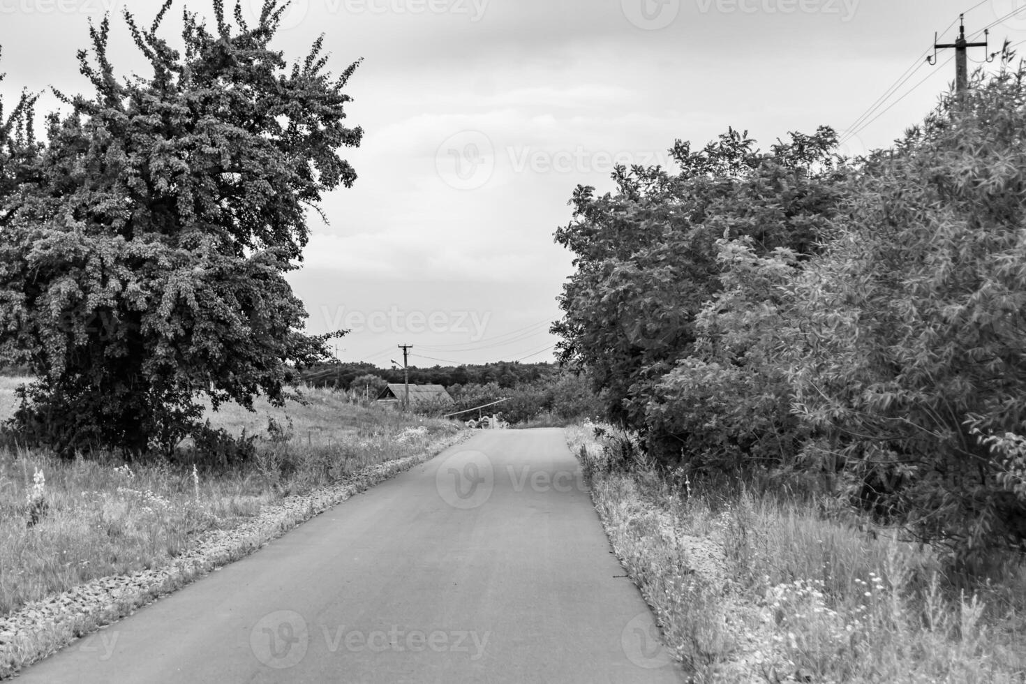 magnifique vide asphalte route dans campagne sur lumière Contexte photo