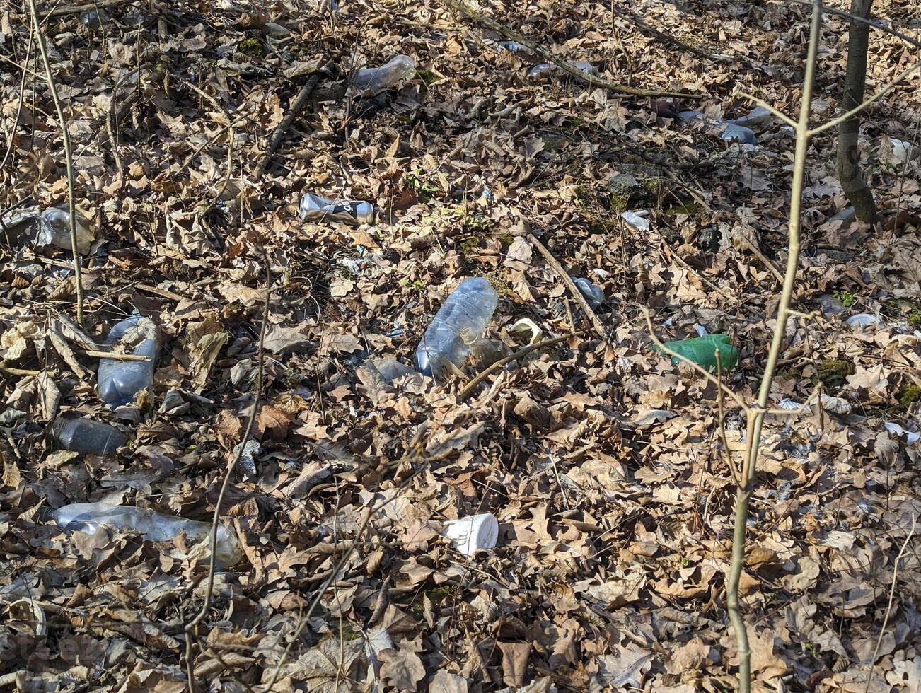 des ordures dans le forêt dans le parc. photo