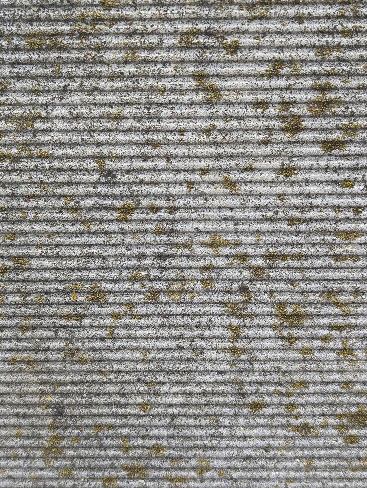 arrière-plan, texture de nervuré ciment clôture avec flammes de pluie et lichen, grunge photo