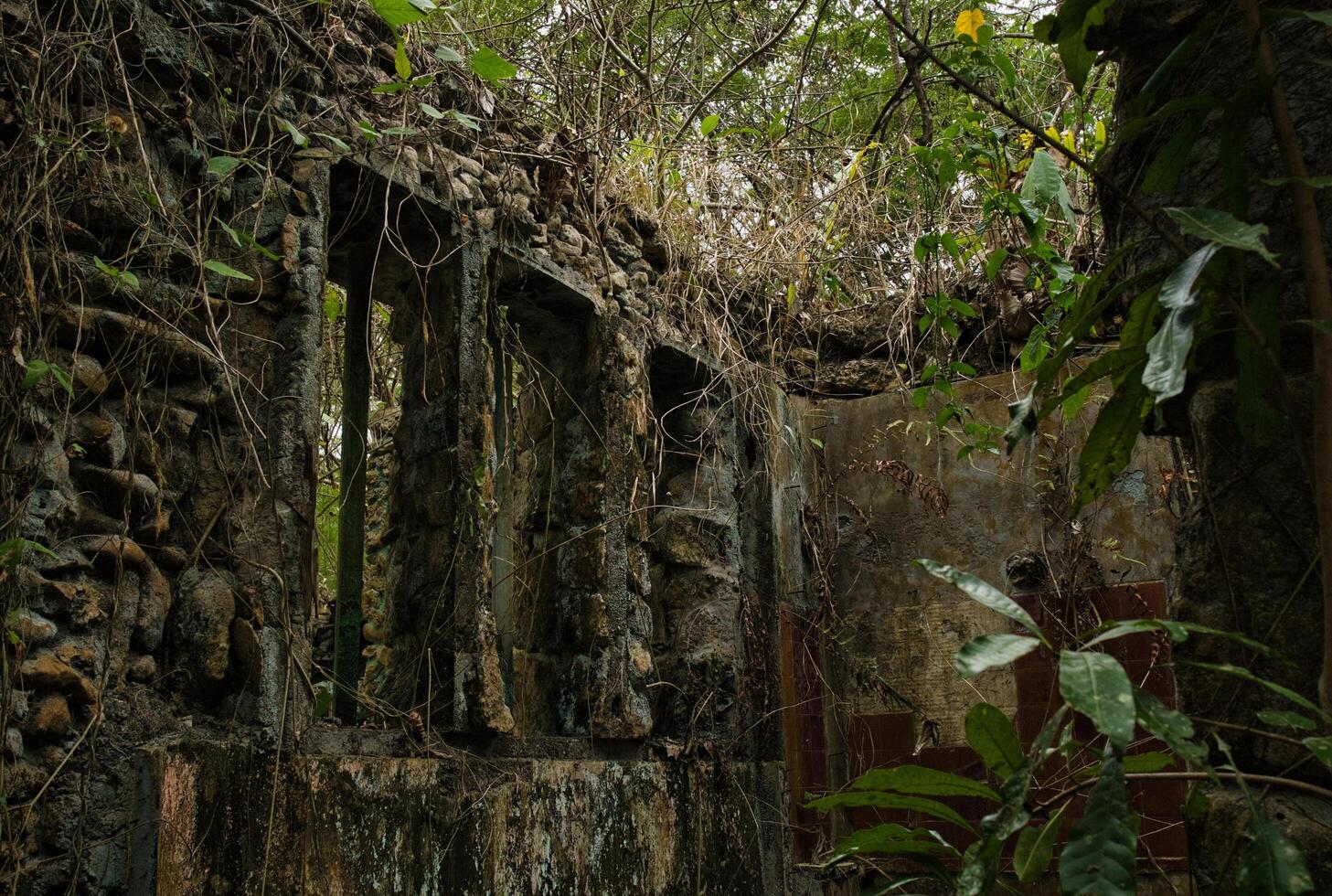 pierre maison ruines photo