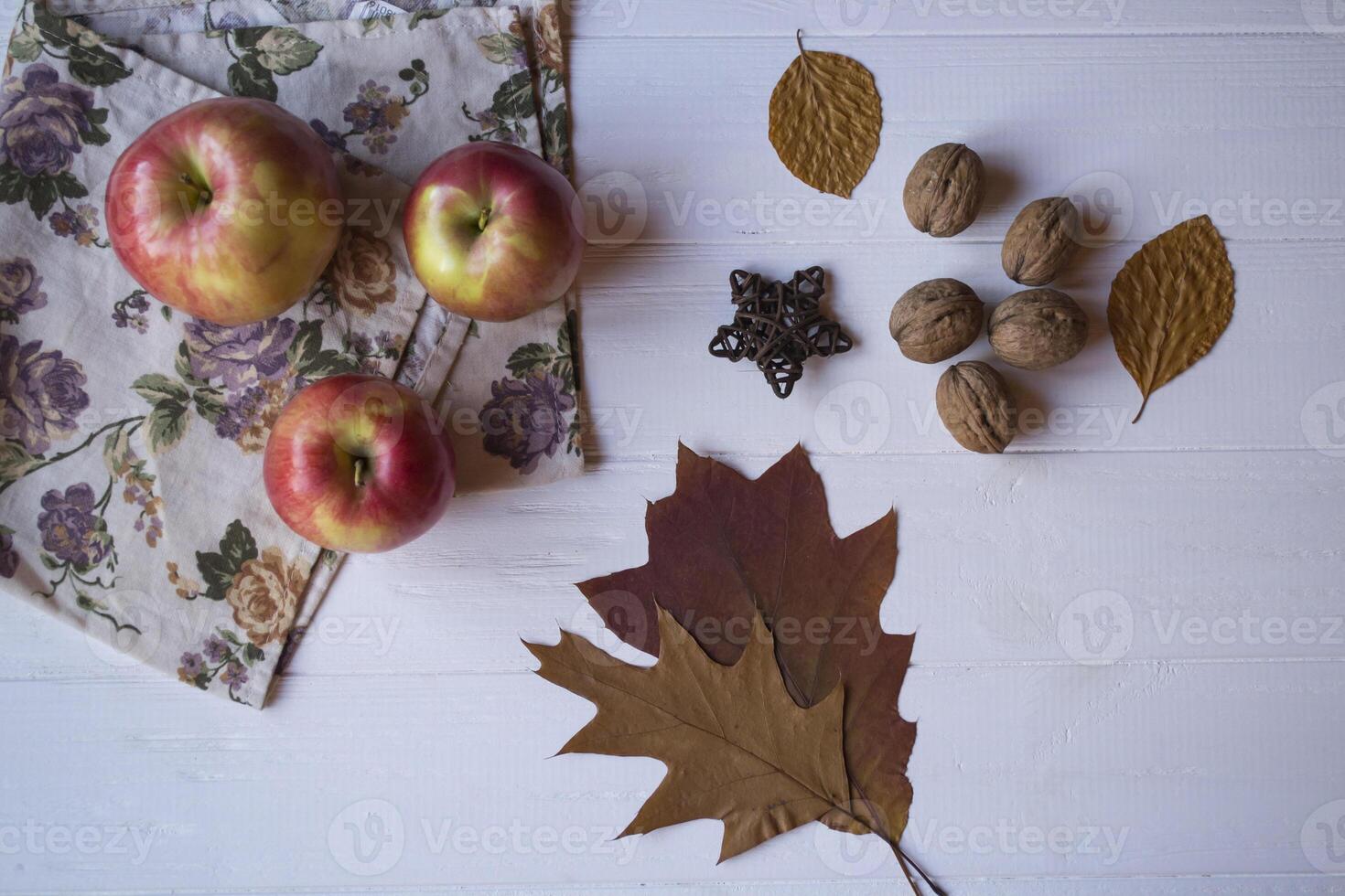 l'automne encore vie. tomber plat poser. photo