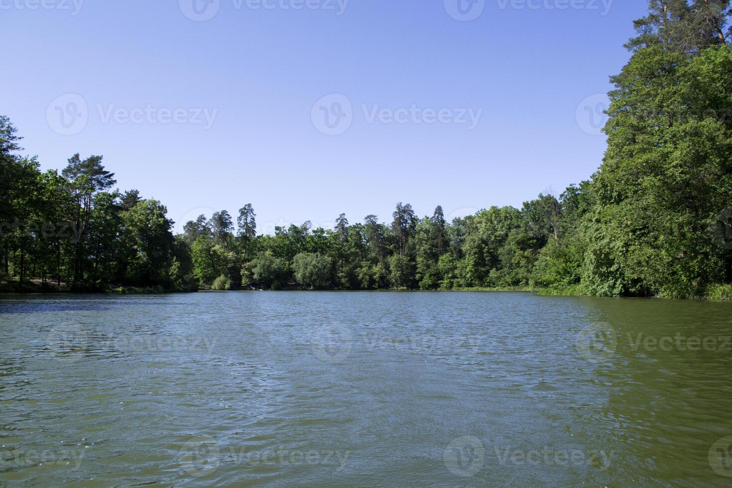 Lac dans le forêt. été paysage. photo