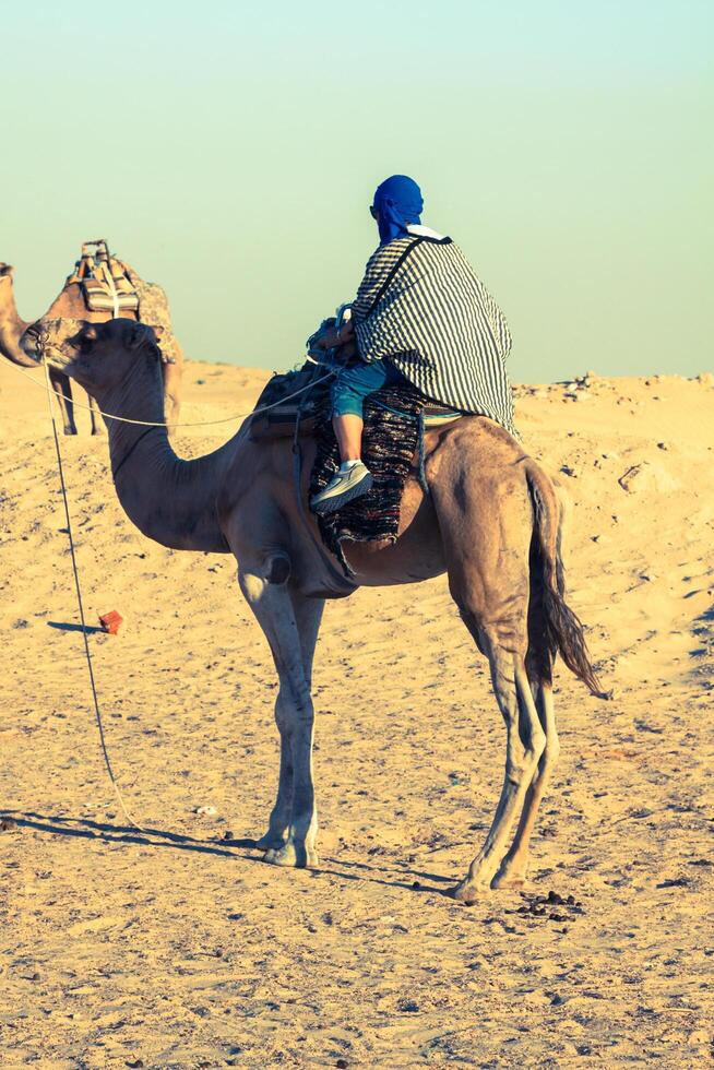 bédouins de premier plan touristes sur chameaux à court touristique tour autour le début donc appelé des portes de Sahara désert photo