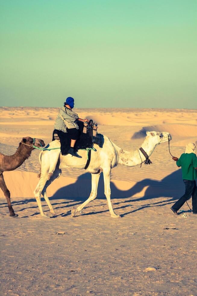 bédouins de premier plan touristes sur chameaux à court touristique tour autour le début donc appelé des portes de Sahara désert photo