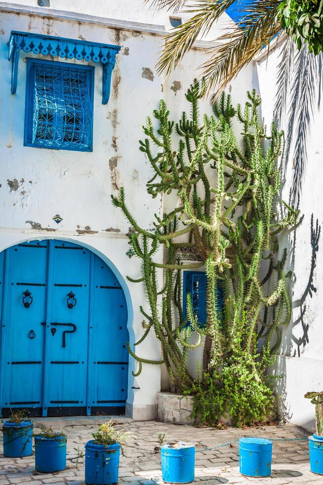 Sidi bou mentionné - typique bâtiment avec blanc des murs, bleu des portes et les fenêtres, Tunisie photo