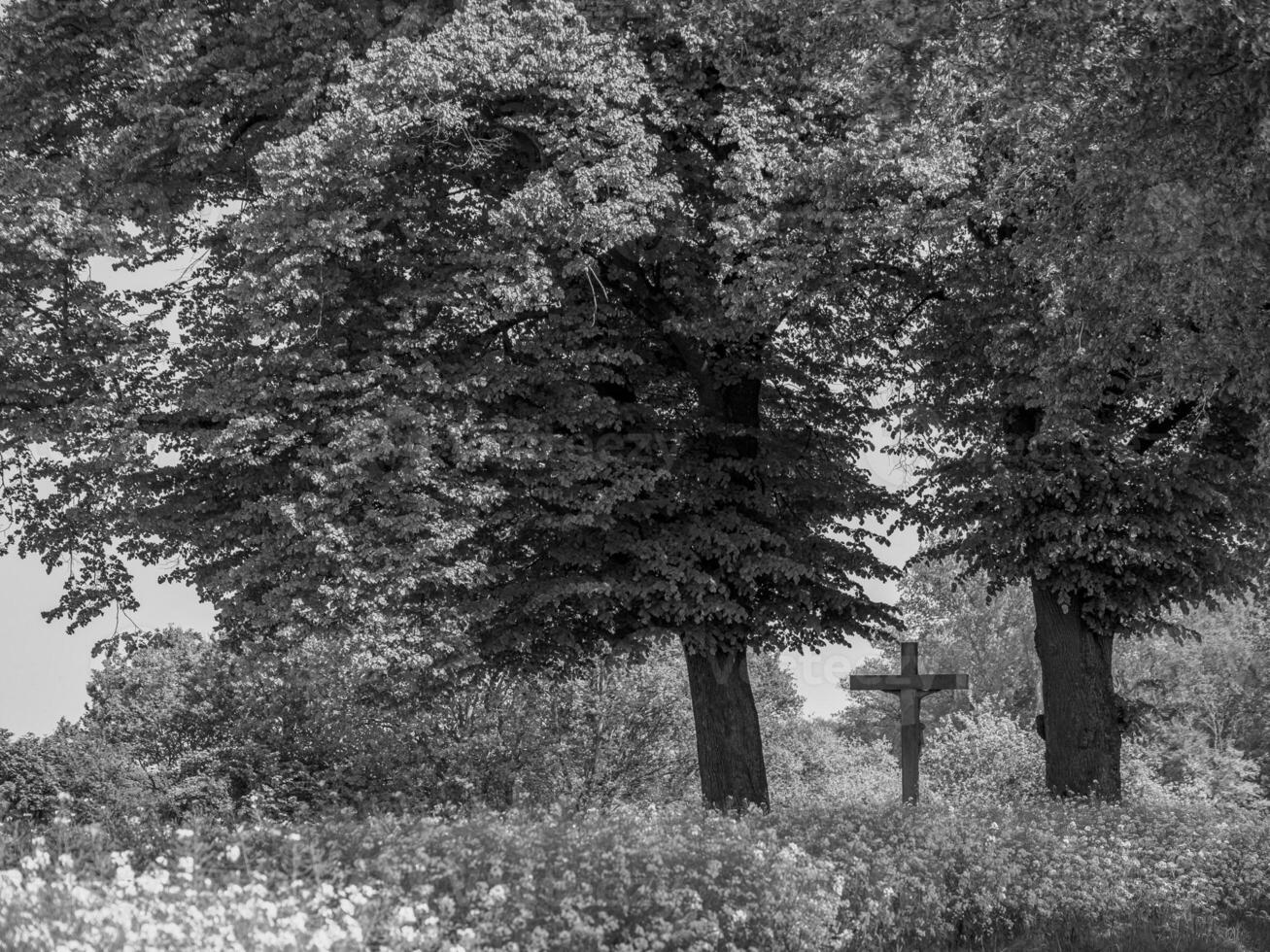 weseke village dans Allemagne photo