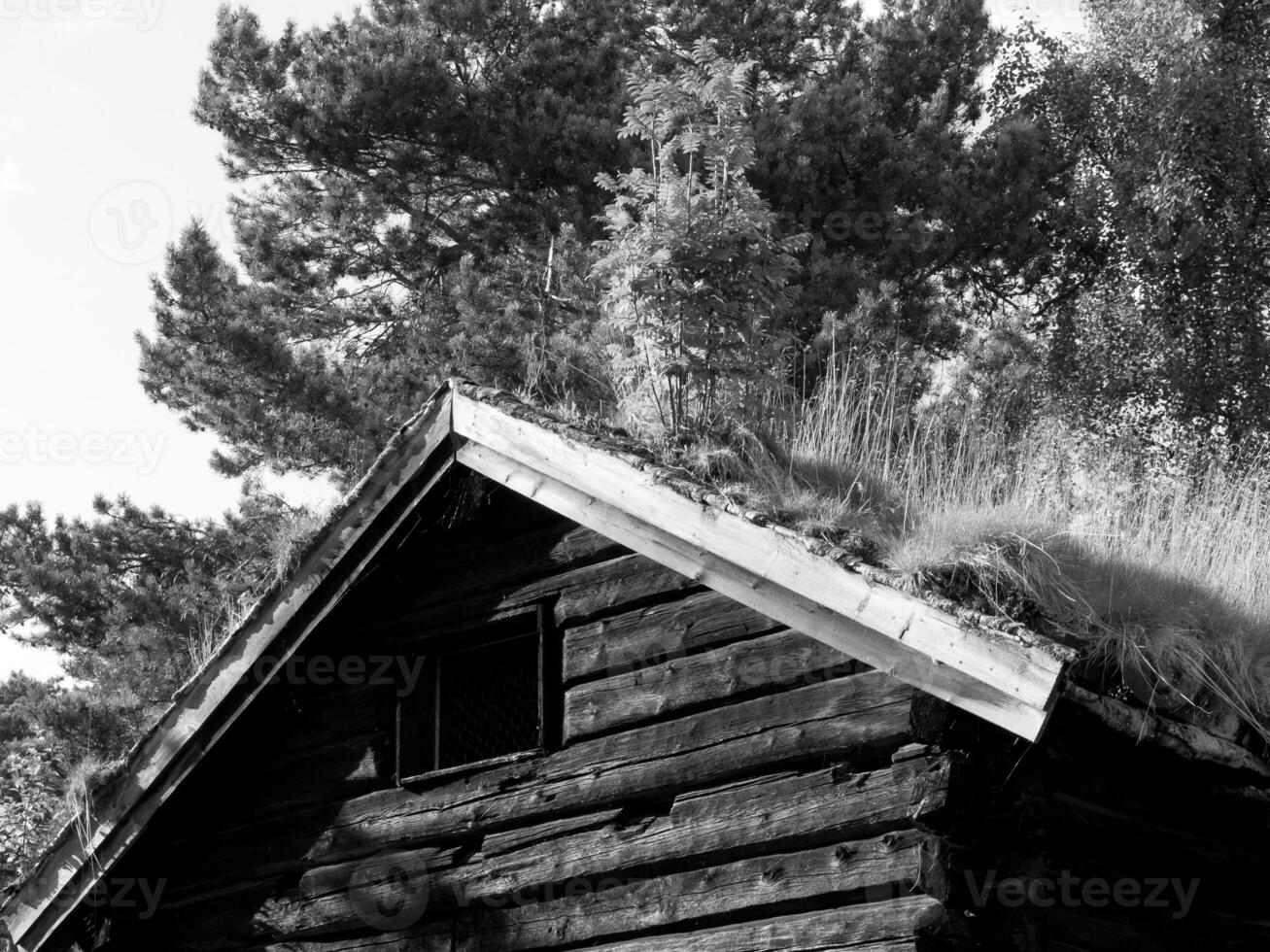 moule en norvège photo