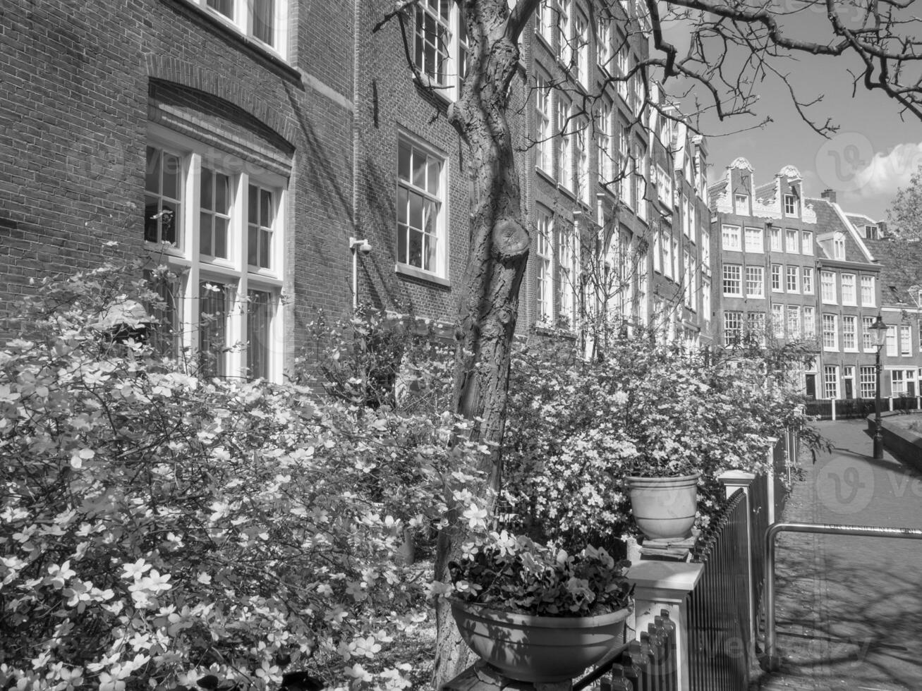 printemps temps dans Amsterdam photo