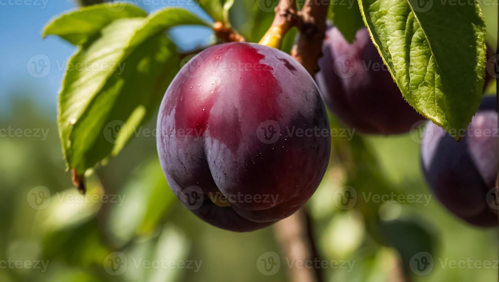 ai généré biologique prune sur une branche contre le Contexte de le jardin photo