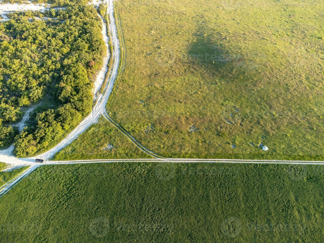 aérien vue sur vert blé champ dans campagne. champ de blé soufflant dans le vent sur le coucher du soleil. Jeune et vert épillets. oreilles de orge surgir dans la nature. agronomie, industrie et nourriture production. photo