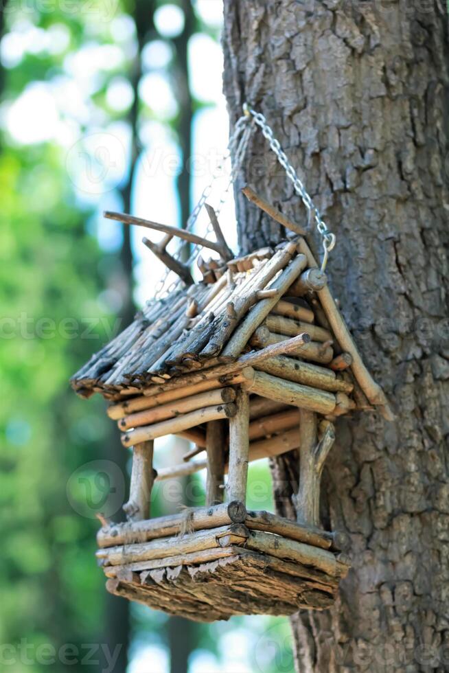 DIY, Créatif main fabriqué en bois oiseau maison mangeoire pendaison sur une chaîne sur le arbre dans une parc photo
