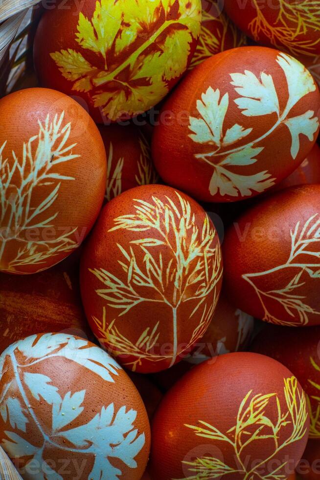 Pâques des œufs teint avec oignon peler, aneth et persil. Naturel éco colorants. Oeuf sur le table Haut vue nourriture Contexte. photo