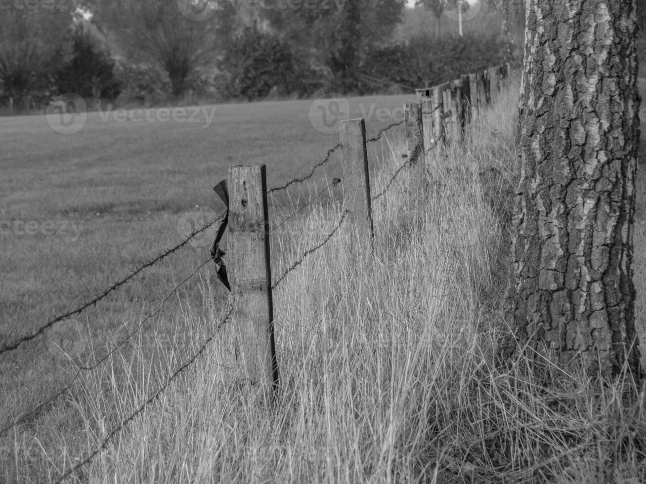 le muensterland allemand photo