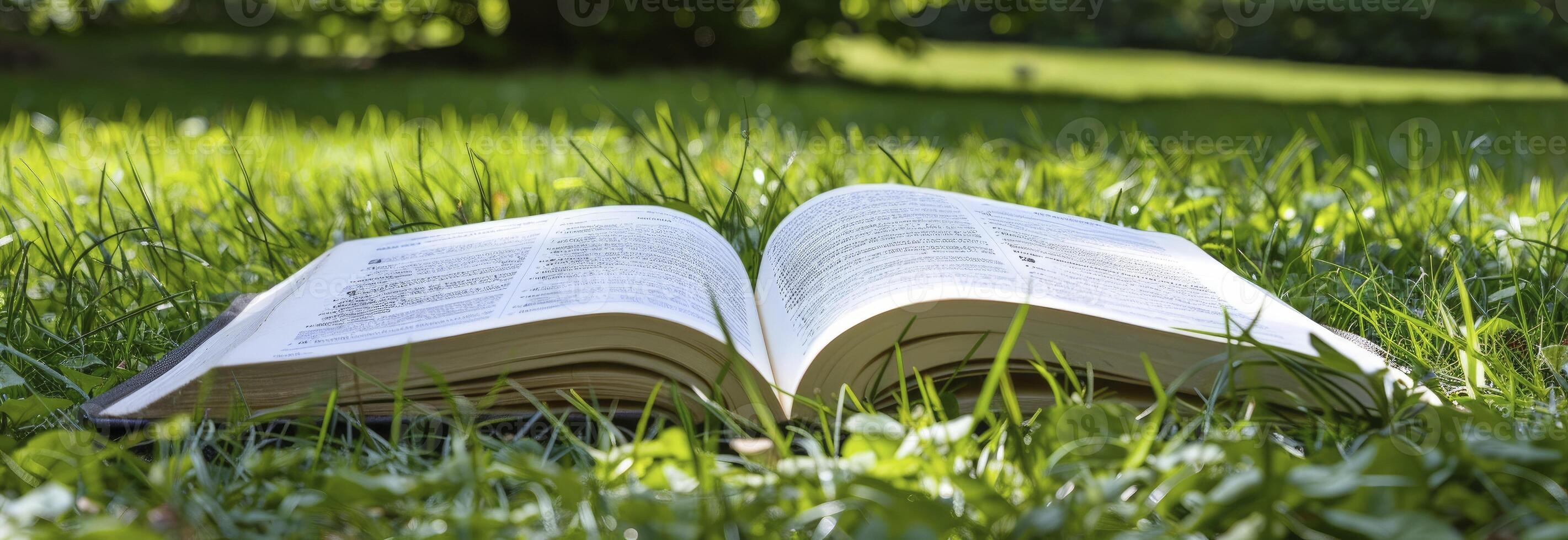 ai généré ouvert livre sur vert herbe photo