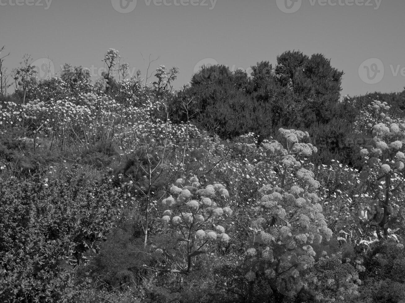 le île gozo photo