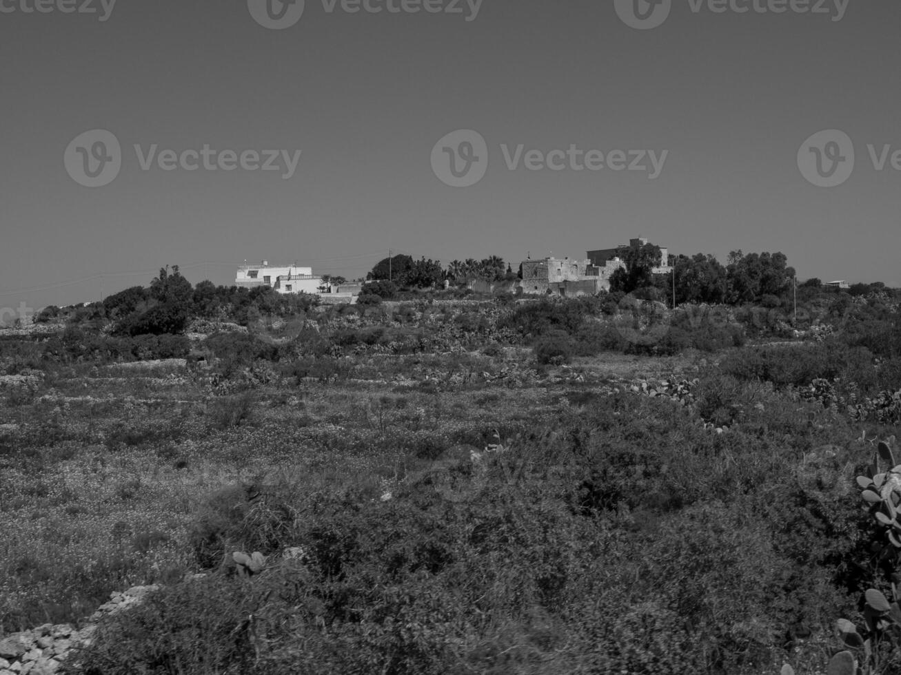 le île gozo photo