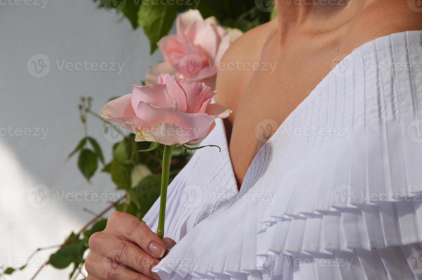 une la mariée fille dans une élégant blanc robe avec une rose Rose fleur dans sa main. photo