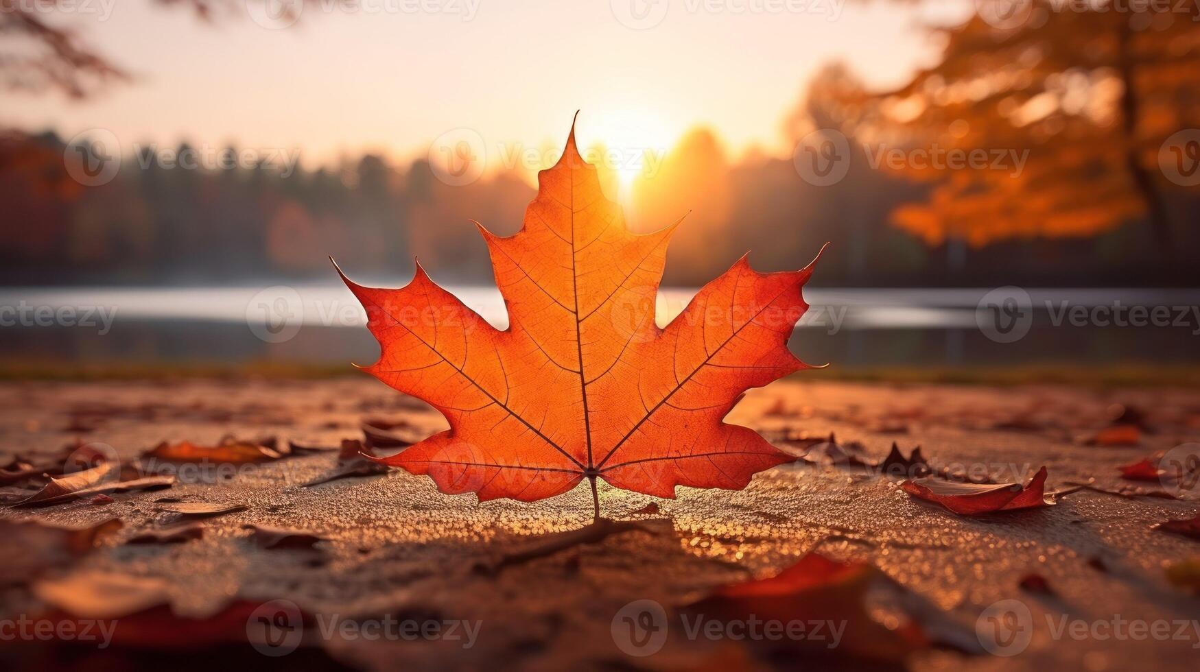 ai généré un vif l'automne coloré érable feuille dans rouge et Jaune couleurs. feuille Couleur sec parc proche illustration forêt l'automne, Naturel saison, Extérieur jardin feuille Couleur sec parc proche photo