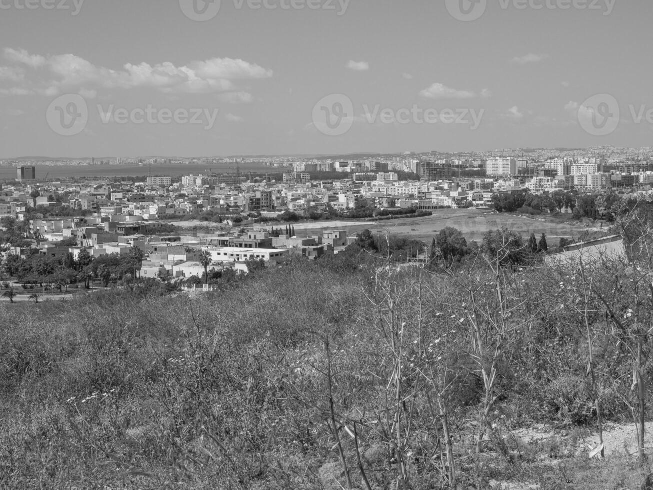 tunis en afrique photo