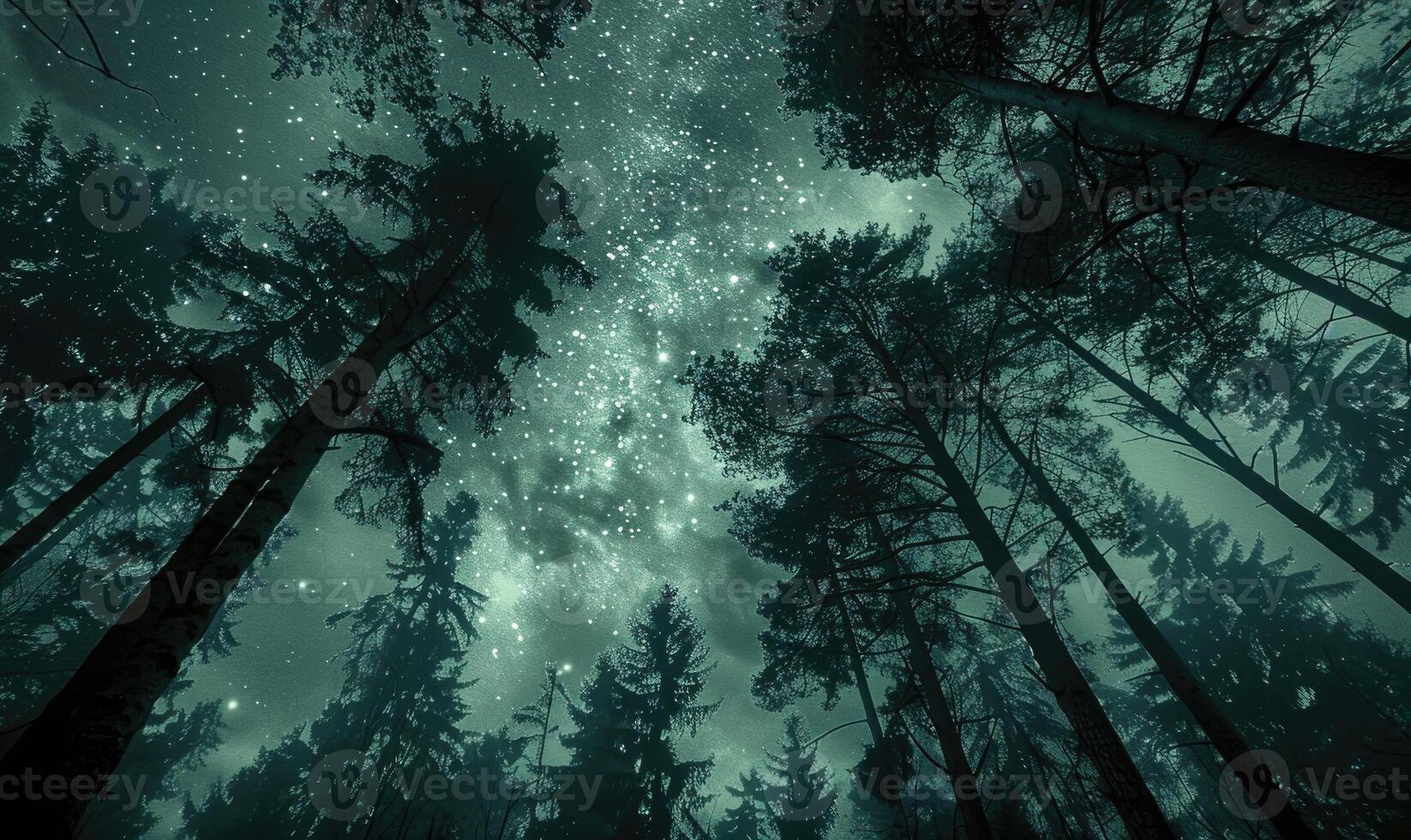 ai généré mystérieux foncé forêt avec étoiles dans le ciel. nuit forêt avec plein lune et étoiles dans le ciel. photo