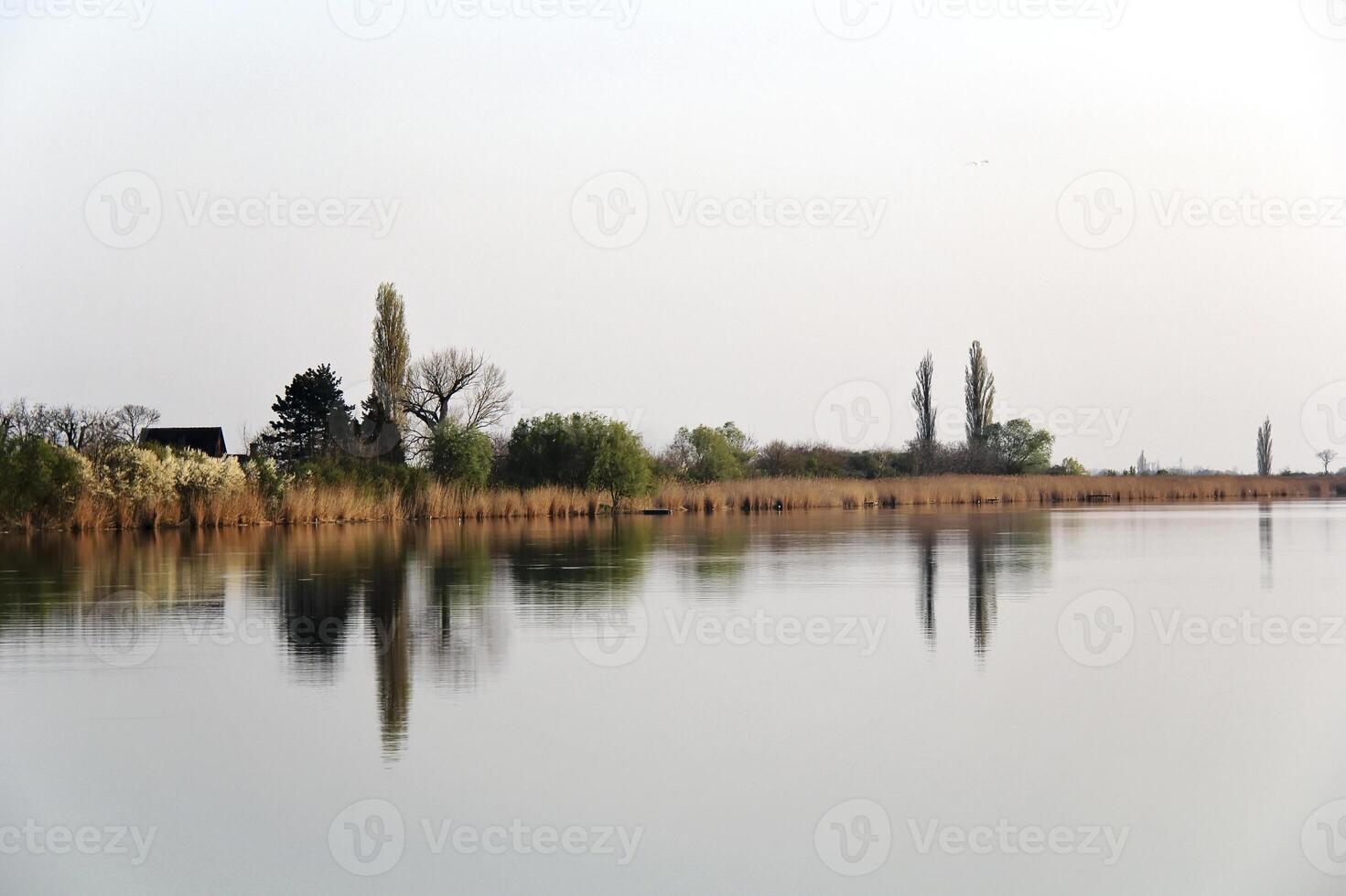 l'automne coloré des arbres reflétant dans tranquille rivière photo