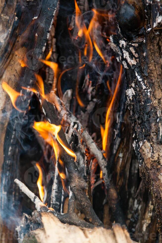 magnifique Feu flammes sur une feu de camp photo