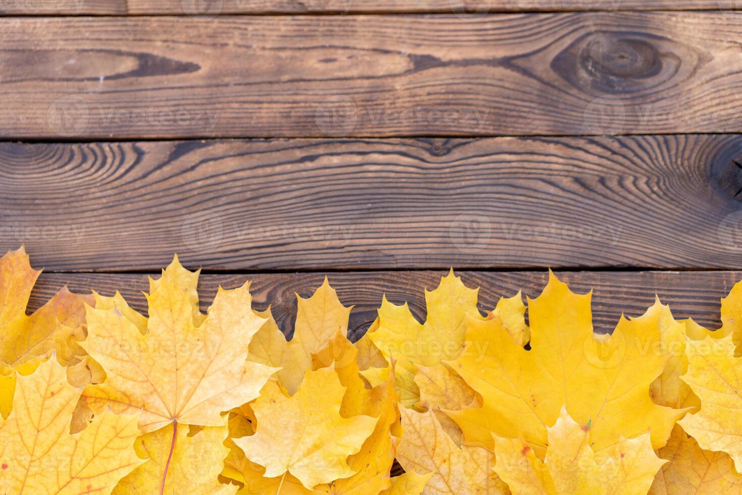 l'automne feuilles Cadre sur en bois Contexte Haut vue tomber frontière Jaune et Orange feuilles ancien bois table copie espace pour texte. photo