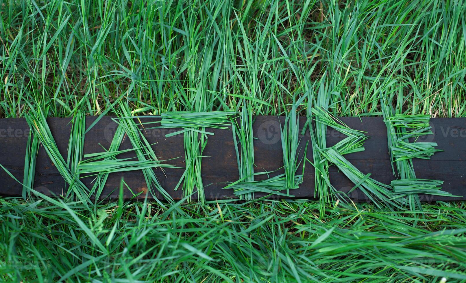 écologique message dans herbe cette dit la nature photo