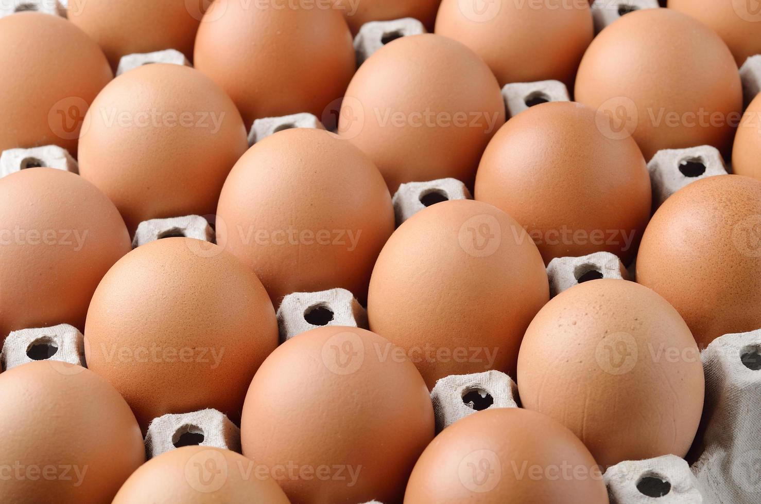 oeuf de poule dans des oeufs de panneau photo