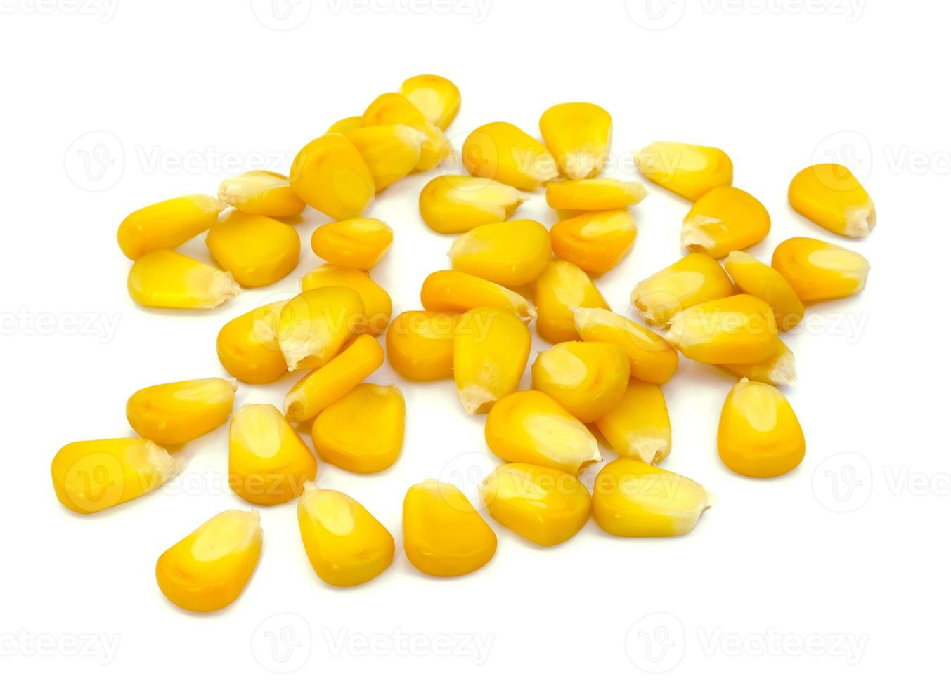 maïs à grains entiers sucré photo
