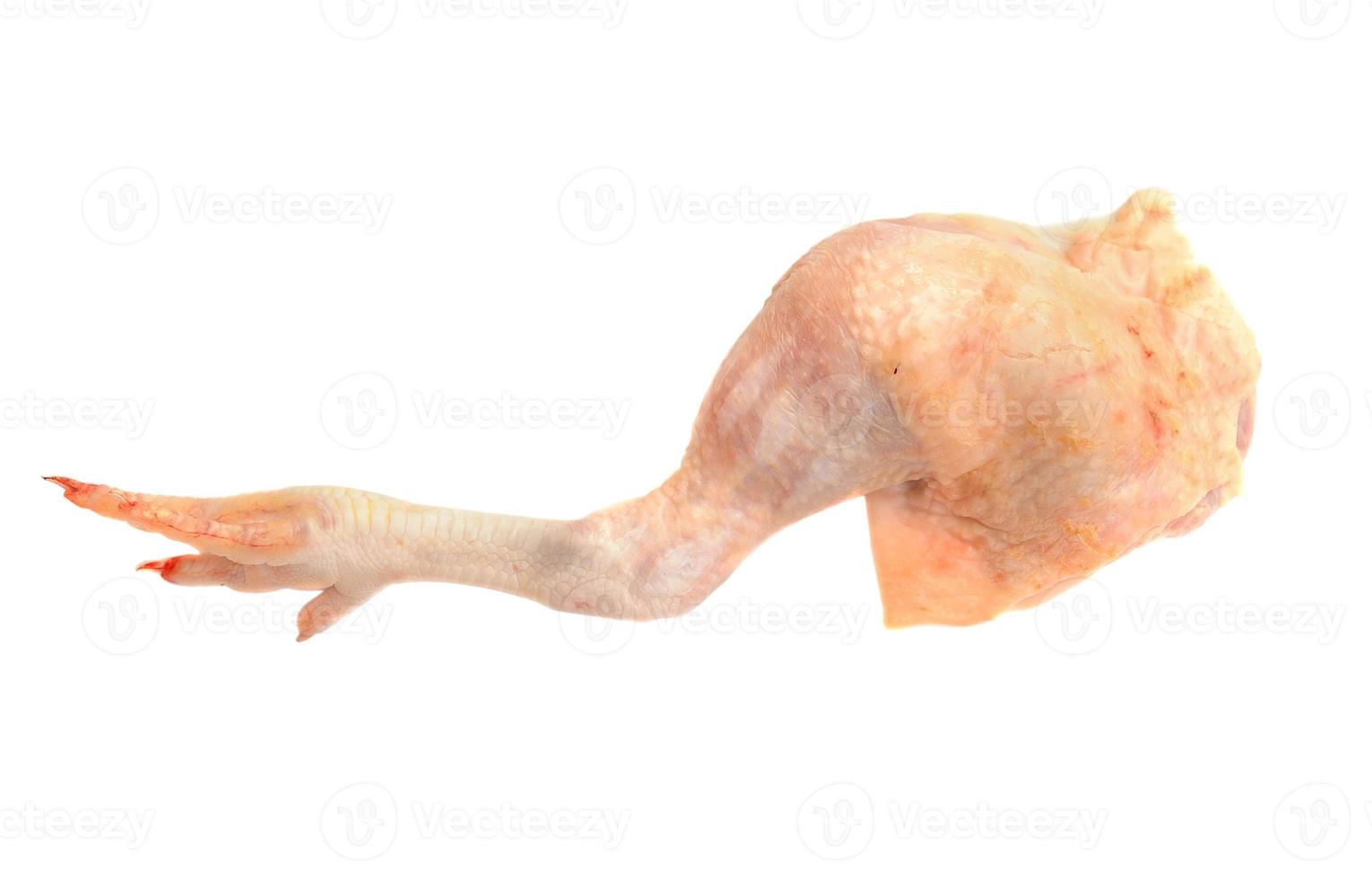 cuisse de poulet sur fond blanc. photo