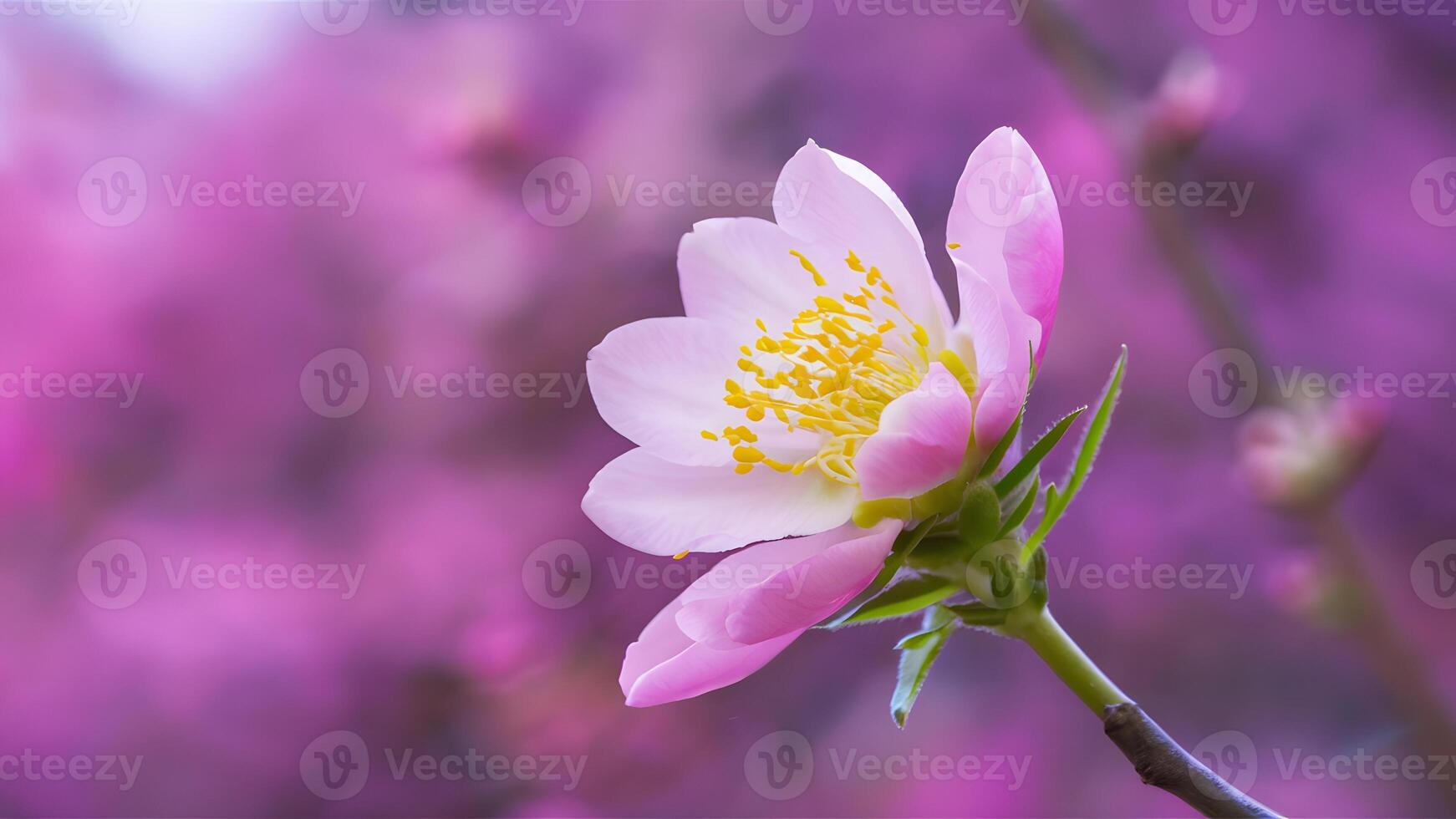 ai généré printemps fleur fleur fermer avec bokeh arrière-plan, printemps la nature photo
