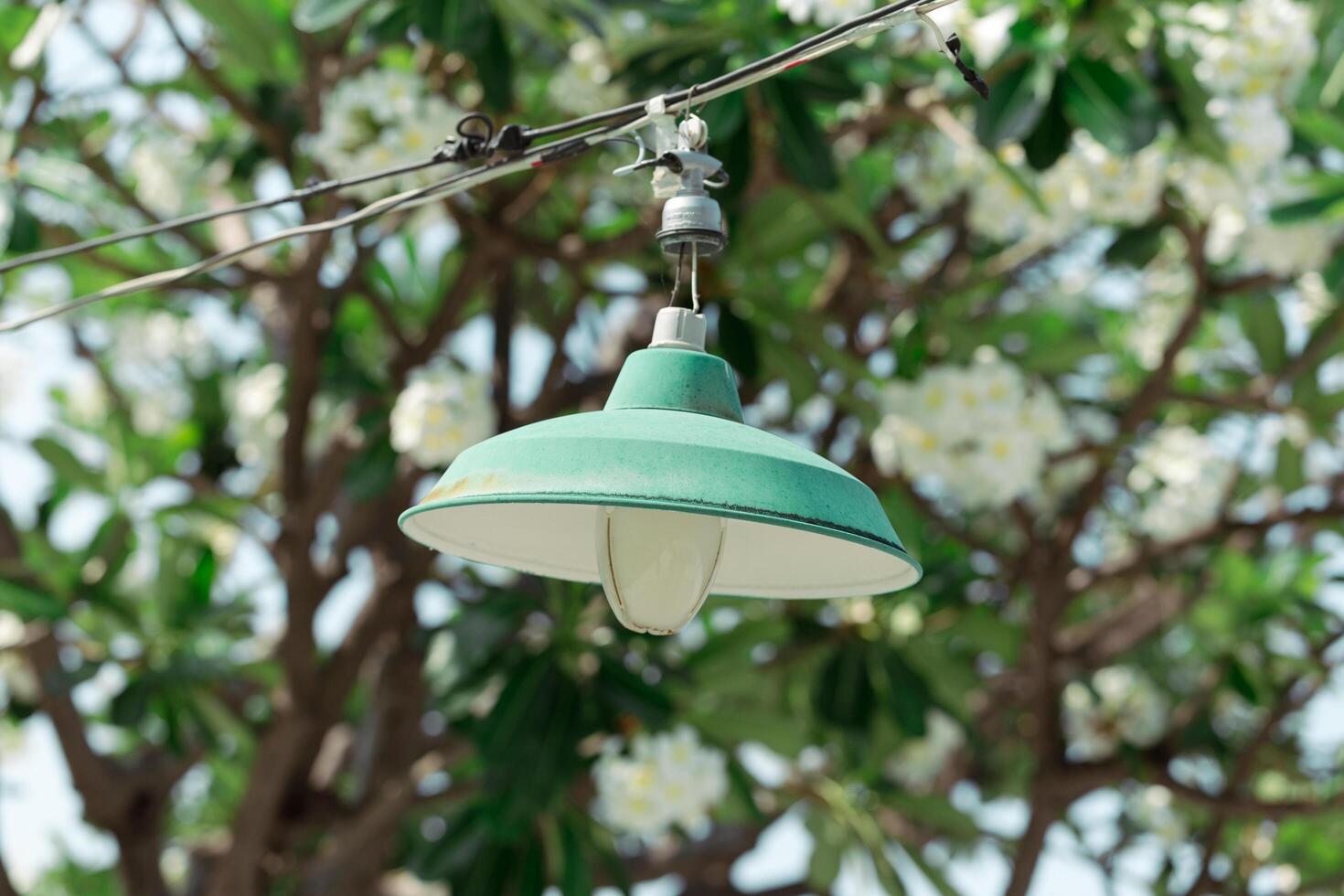 vert circulaire les lampes. photo