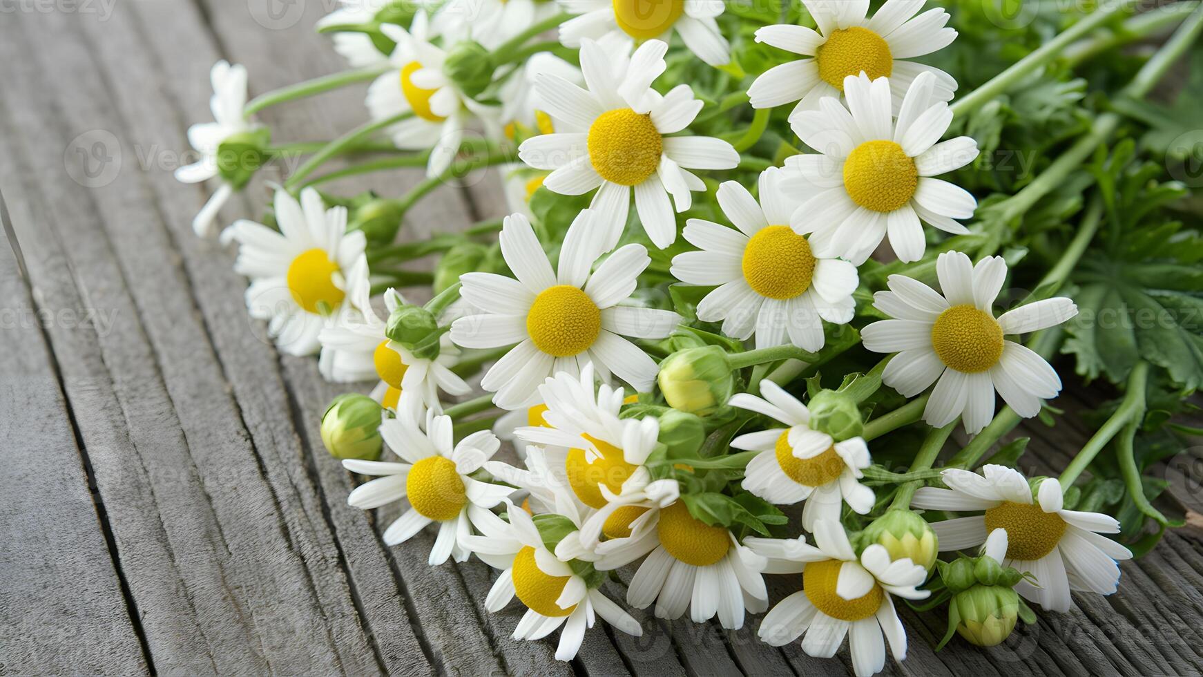 ai généré camomille fleurs arrangé sur une rustique en bois Contexte exsuder tranquillité photo