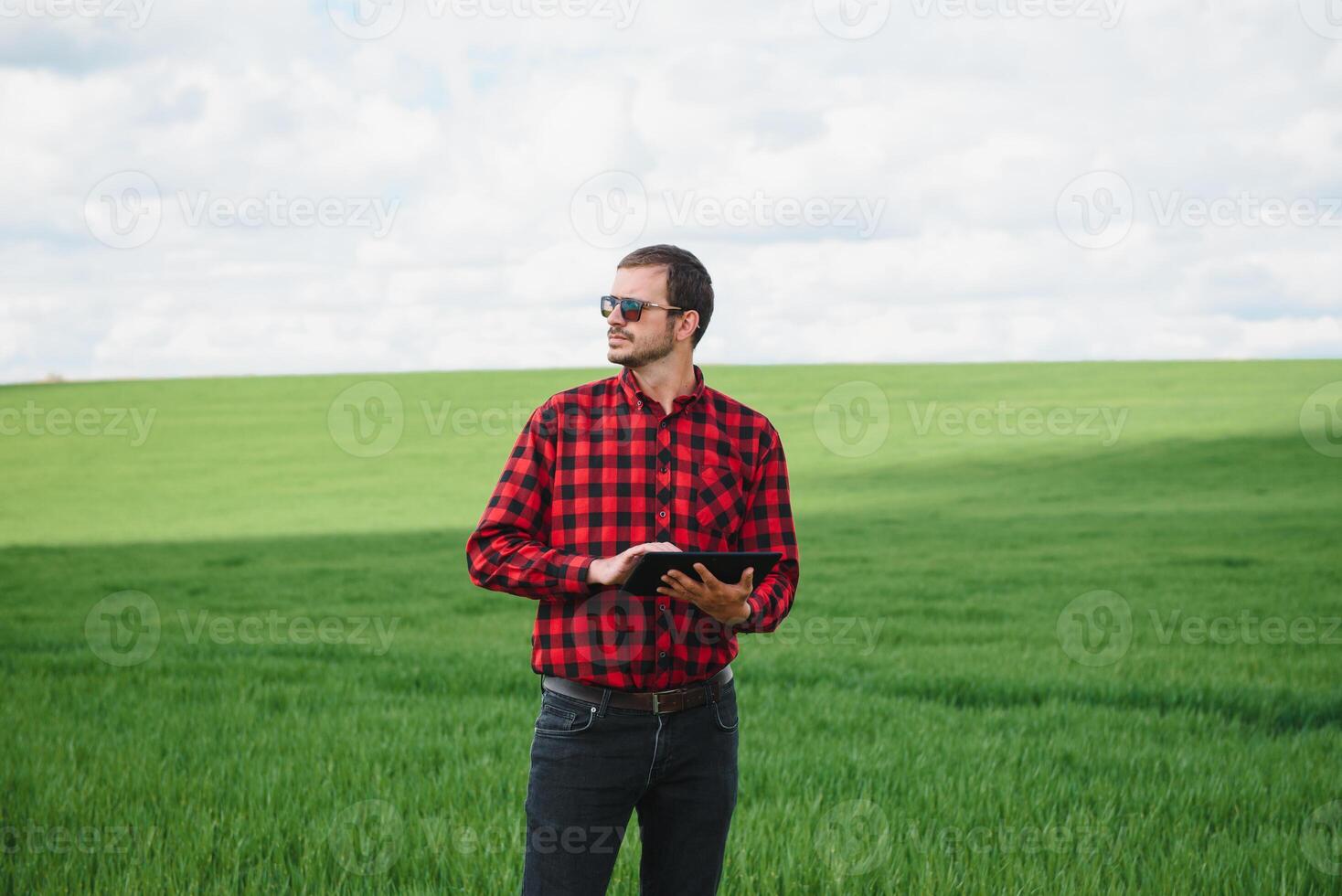 portrait de agriculteur permanent dans Jeune blé champ en portant tablette dans le sien mains et examiner culture. photo