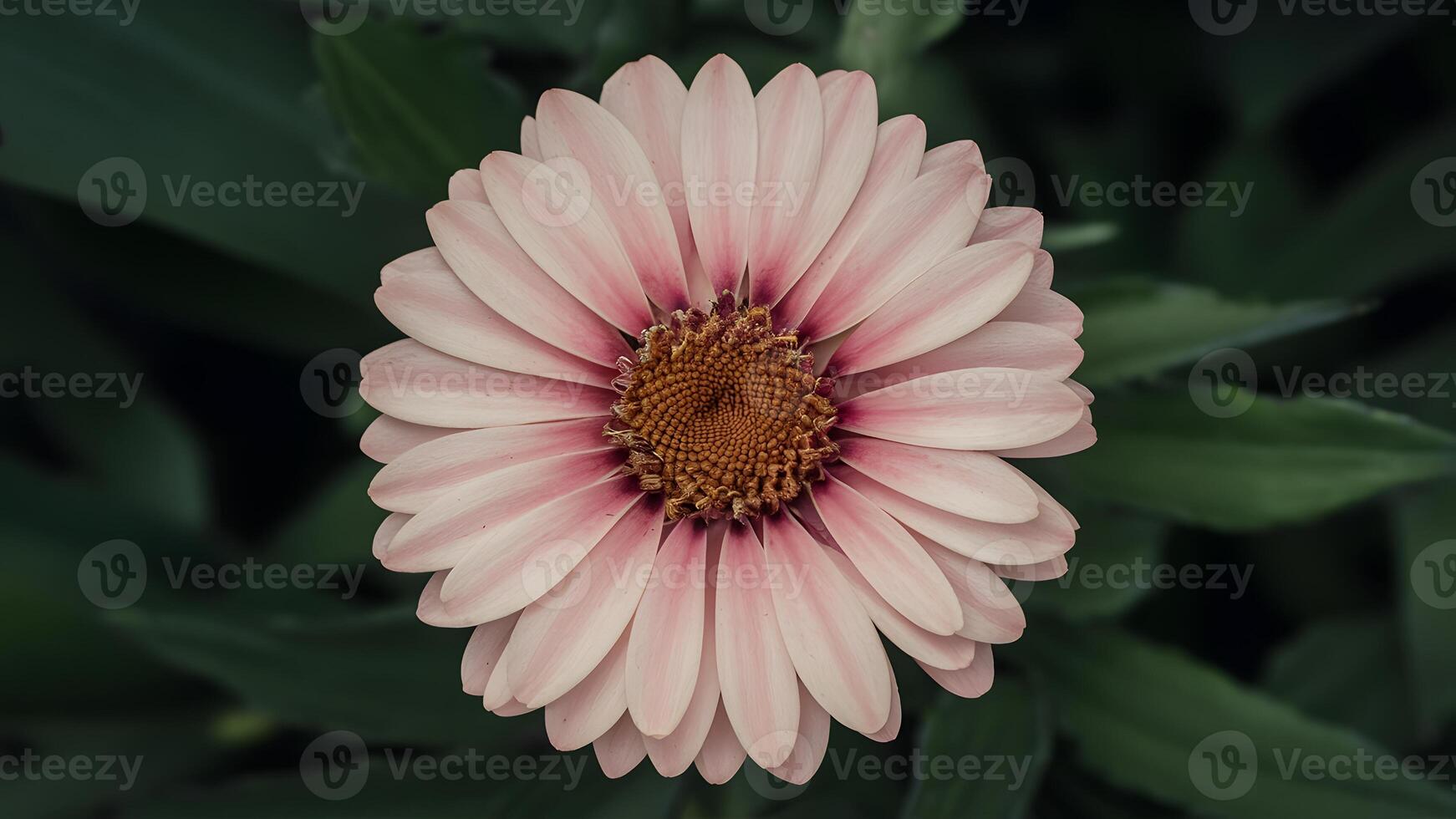 ai généré stockphoto artistique mouvement Contexte avec fleur l'eau gouttes, fermer photo