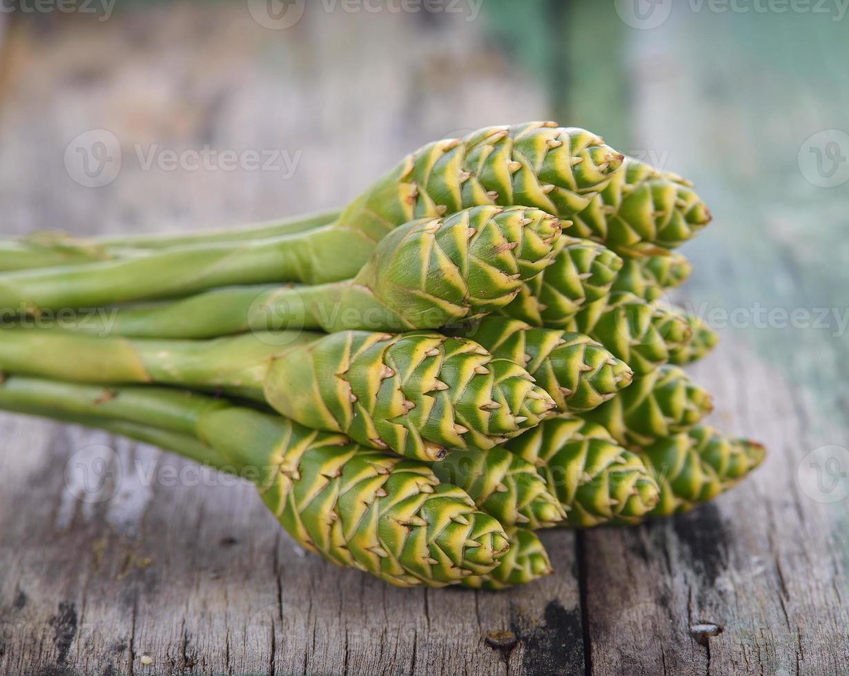 belle fleur de gingembre vert tropical sur bois photo