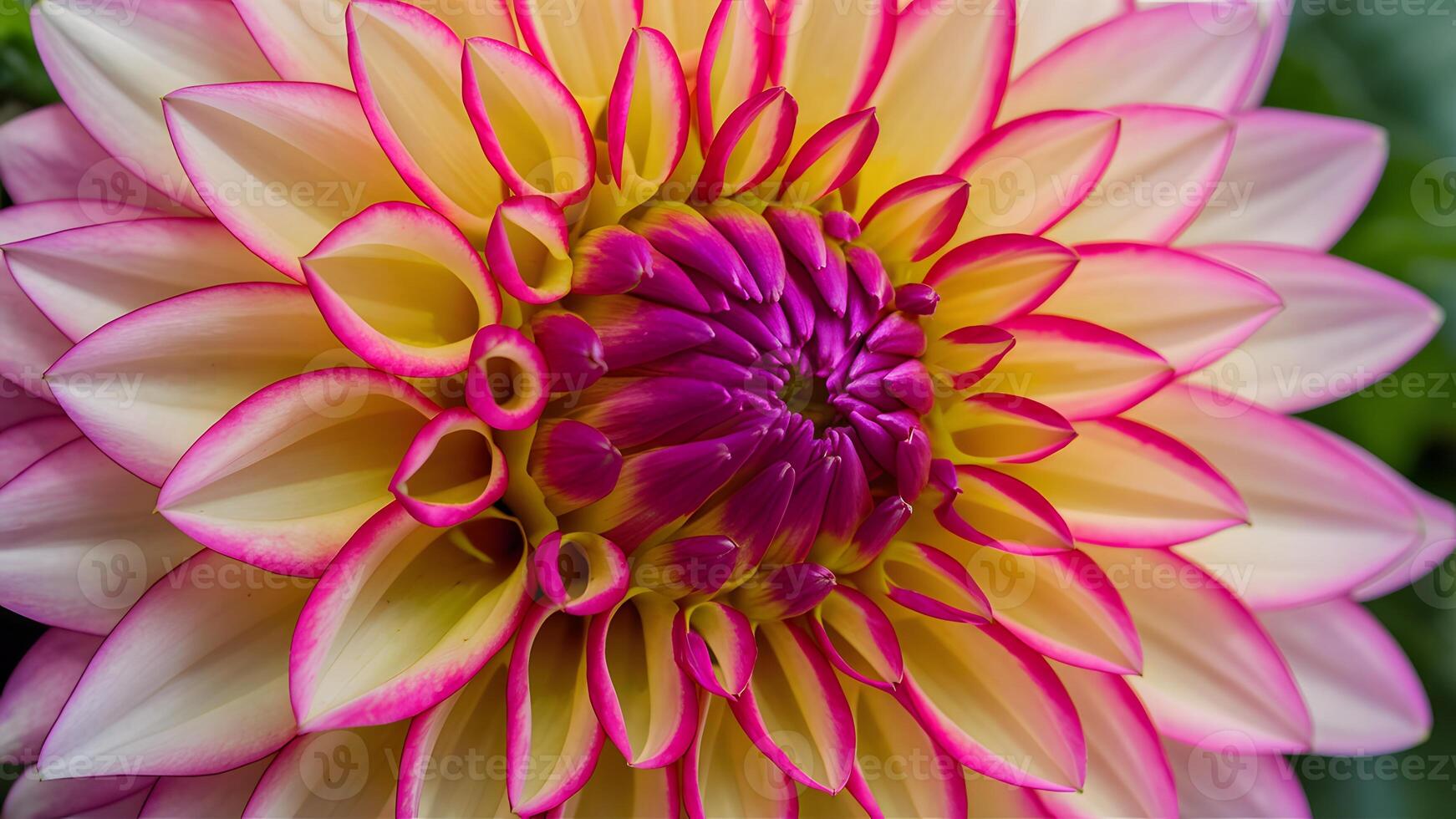 ai généré stockphoto détaillé proche en haut de dahlia fleur pétales dans l'automne teintes photo