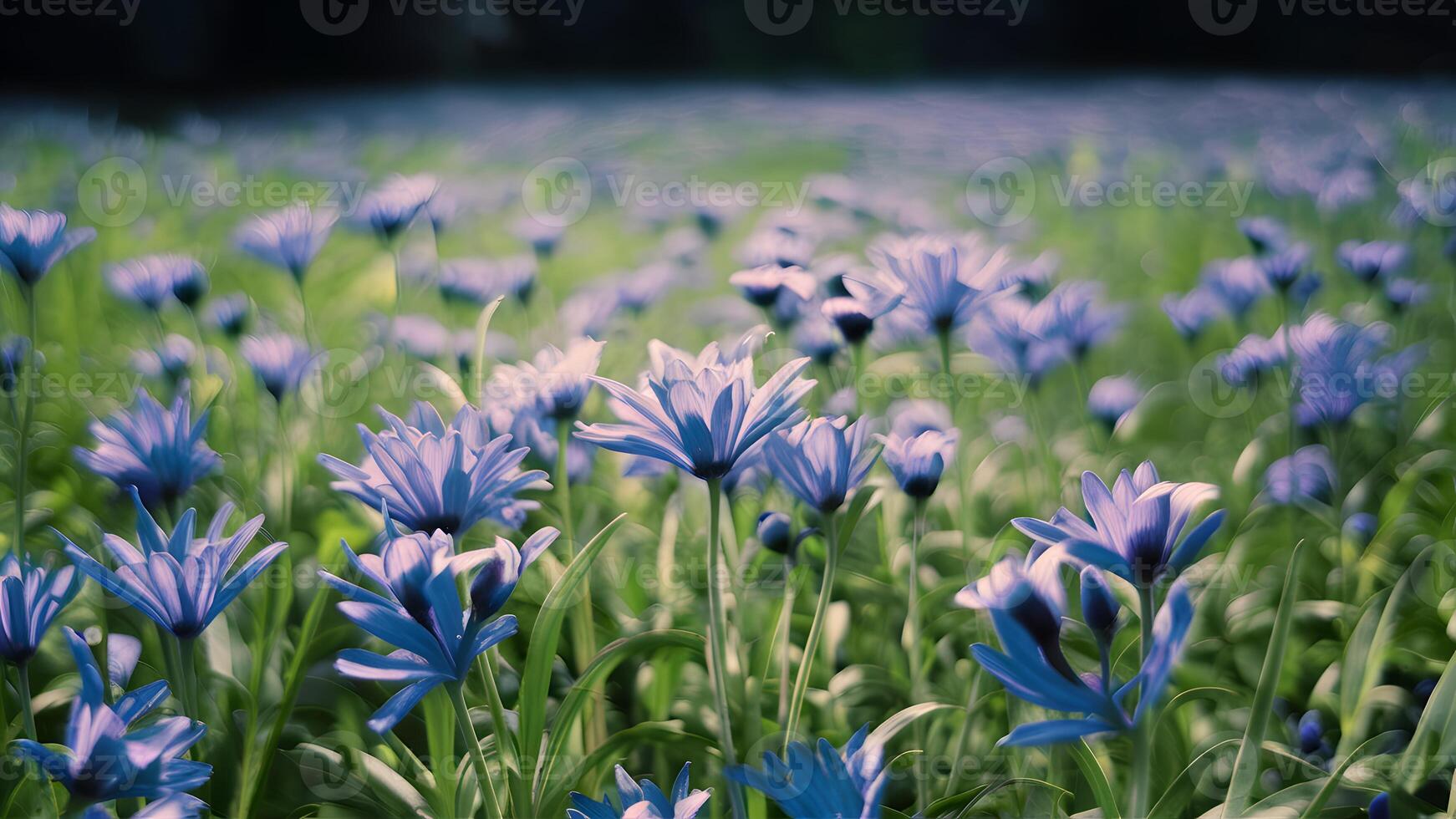 ai généré fantaisie doux floral Contexte avec bleu fleurs dans défocalisé réglage photo