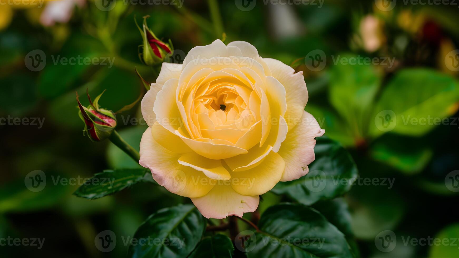 ai généré Jaune Rose hybride au milieu de printemps feuillage crée vibrant Contexte photo