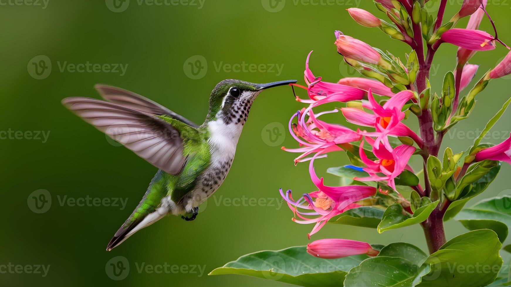 ai généré gracieux colibri jouit nectar de une papillon buisson photo