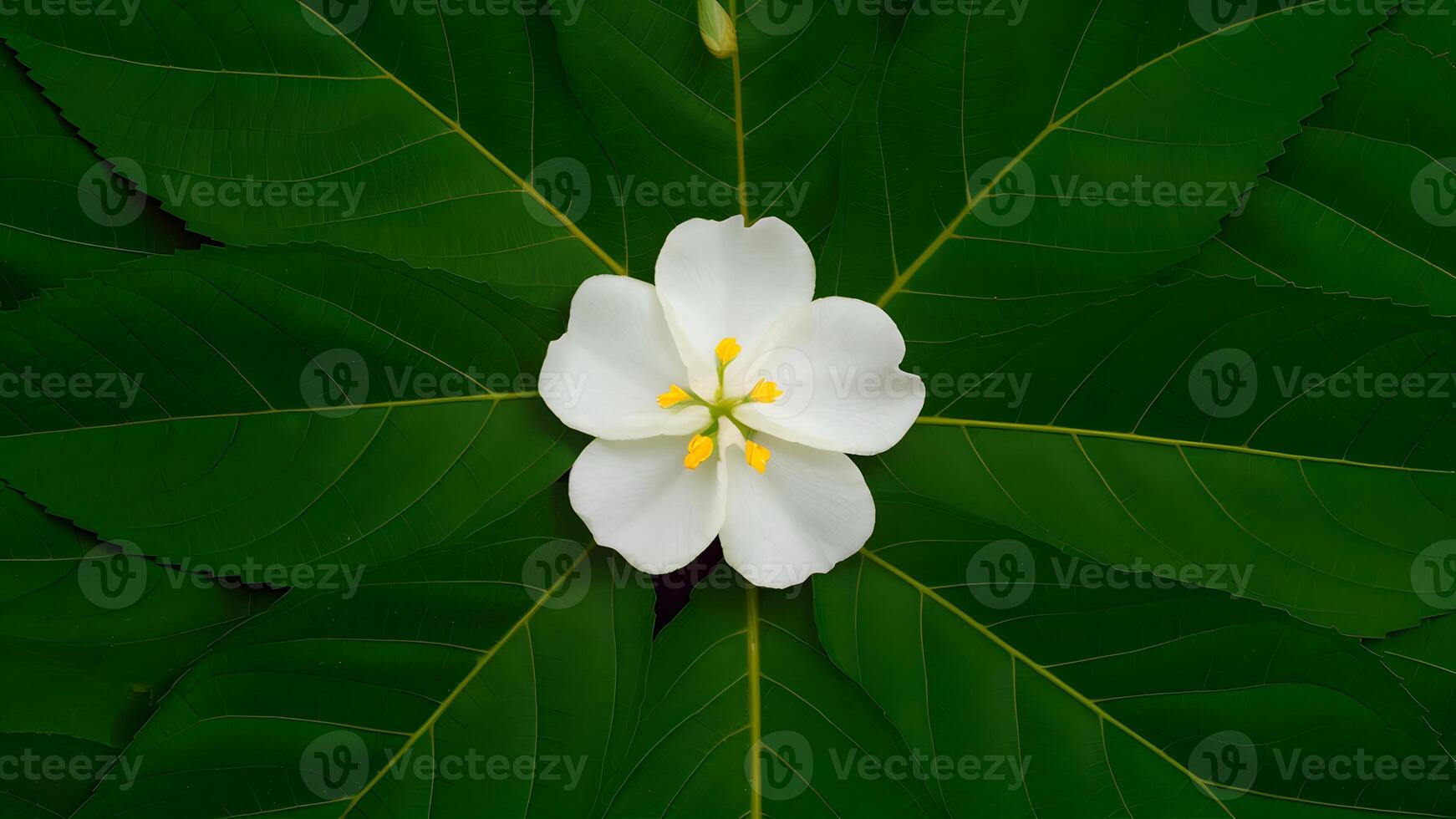 ai généré arabe jasmin fleur et feuilles isolé sur blanc Contexte photo