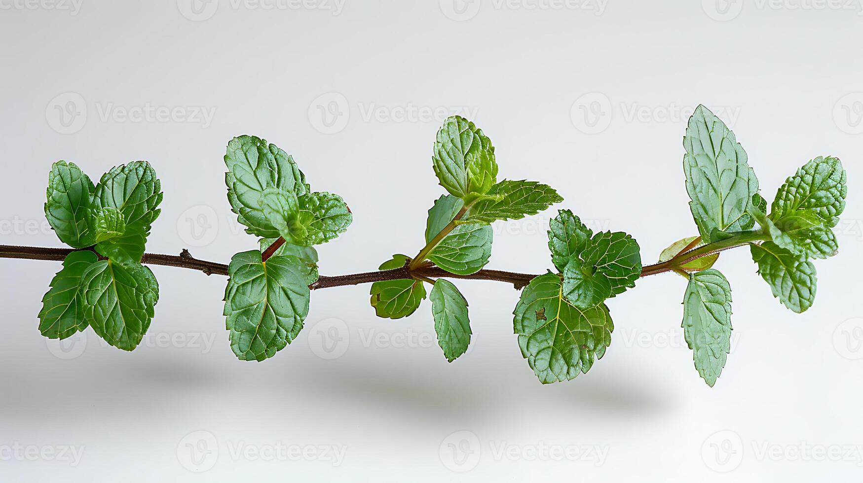 ai généré médicinal les plantes menthe poivrée sur une blanc Contexte photo