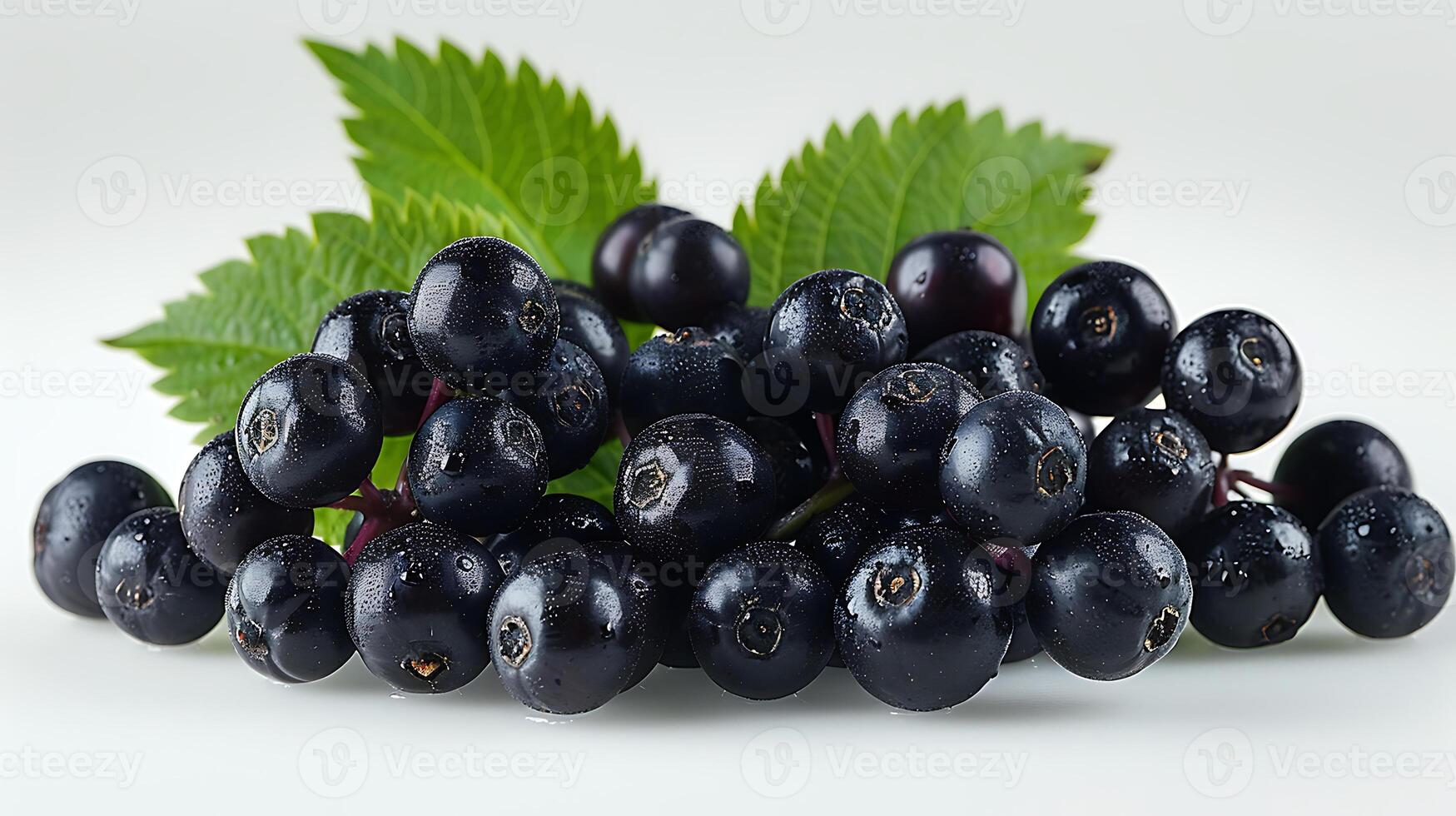 ai généré une bouquet de sureau des fruits avec feuilles sur une blanc Contexte photo