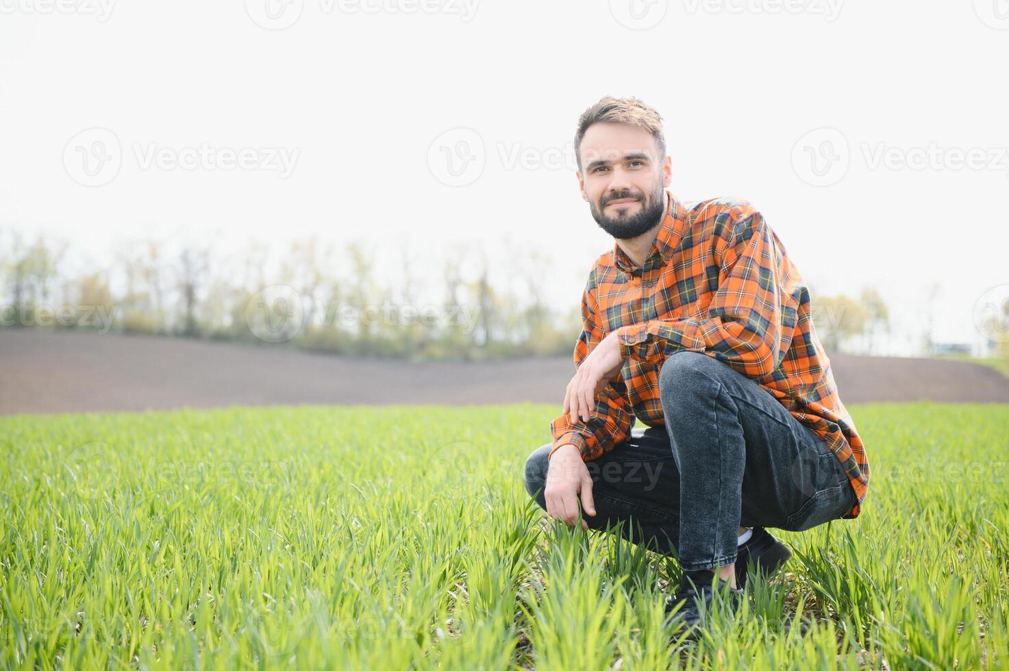 Masculin agronome sur une vert agricole champ de blé photo