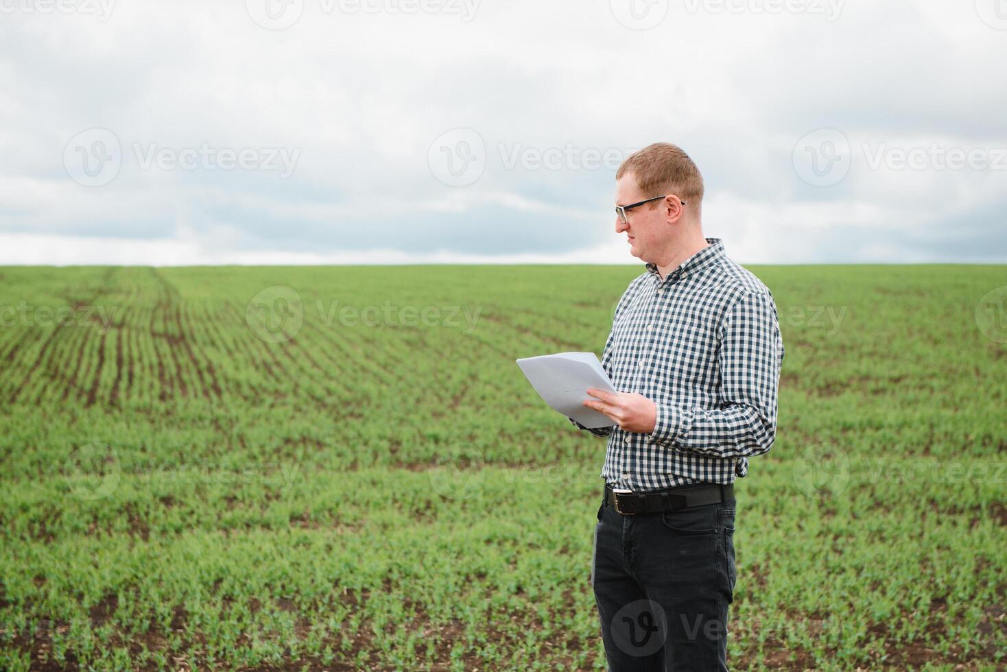 agriculteur sur une pois champ. agriculture concept. le agriculteur travaux dans le champ. végétalien végétarien Accueil grandi nourriture production. photo