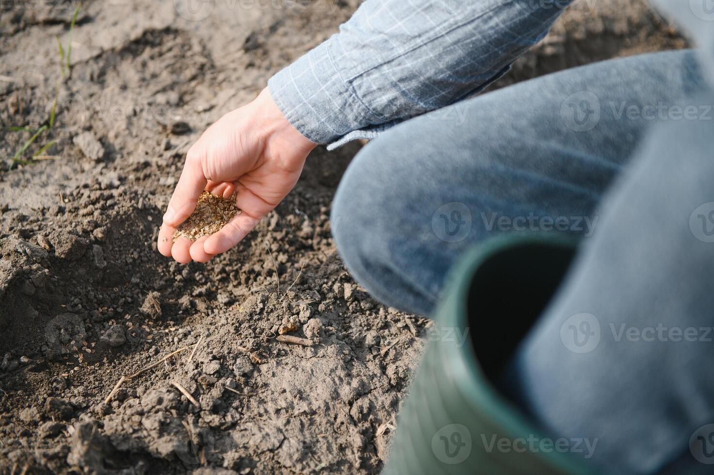 Les agriculteurs main plantation la graine dans sol photo