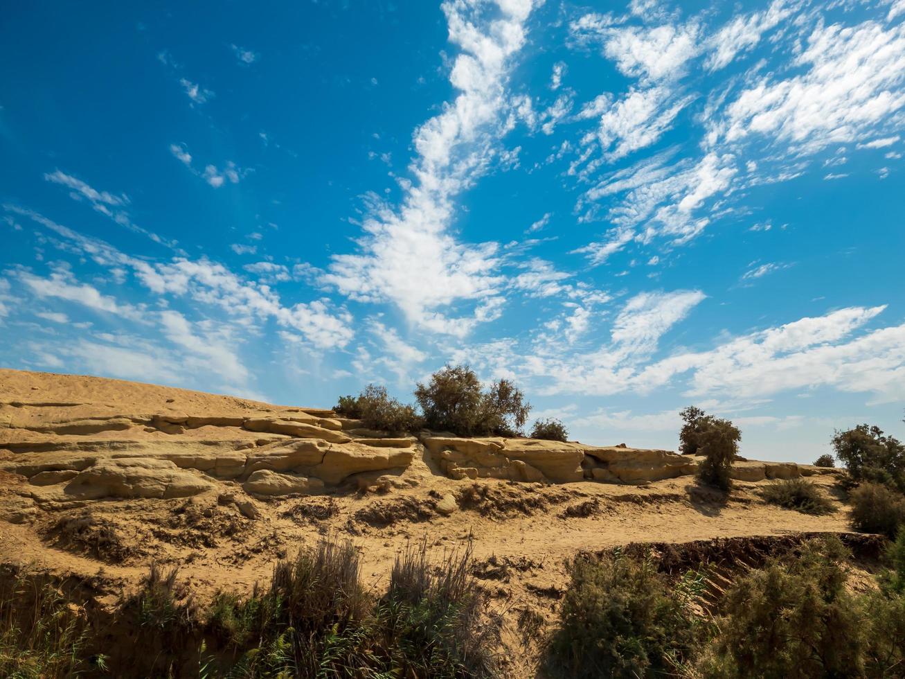 arbre sur une colline contre le ciel photo